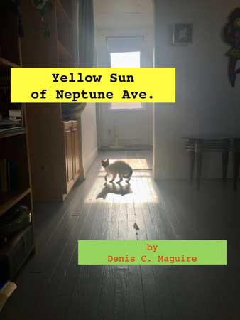 Yellow Sun of Neptune Ave. Image