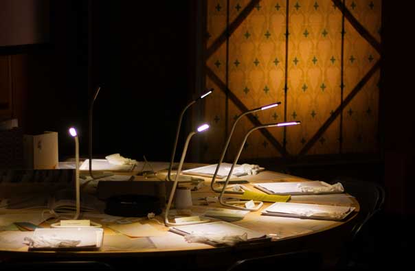 Green Herrings in a Yellow Room: A Counter Production of The Yellow Wallpaper Image